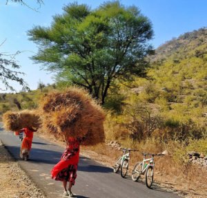 mountain biking in udaipur