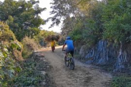 udaipur cycle tour