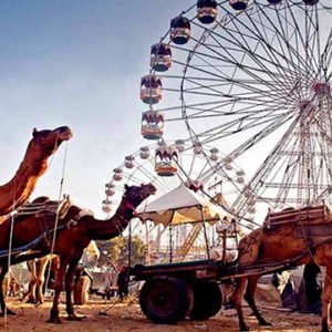 fairs and festivals in india
