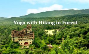yoga with hiking in forest